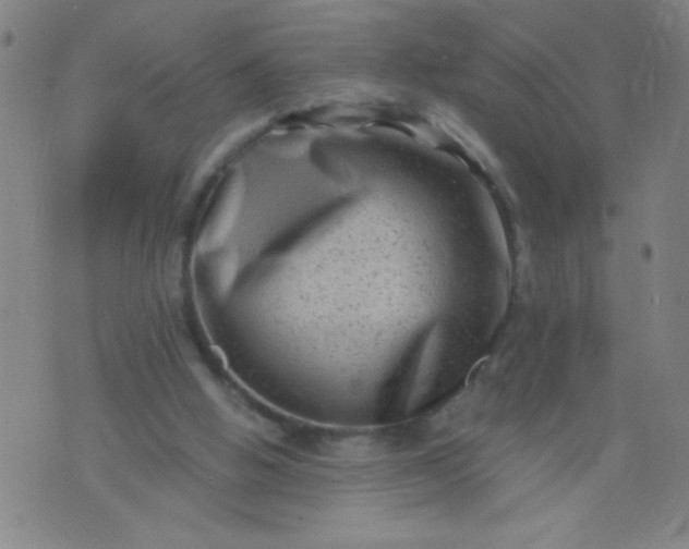 X0000076100058200610061717