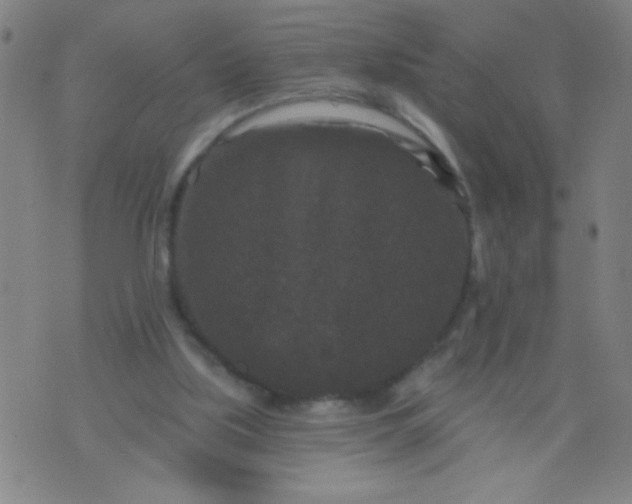 X0000076100059200610061717