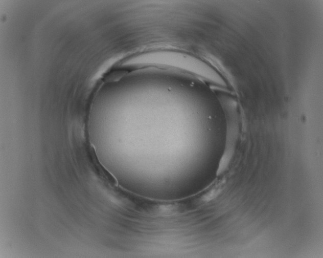 X0000076100060200610061717