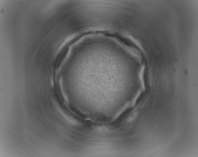 X0000076100062200610061717