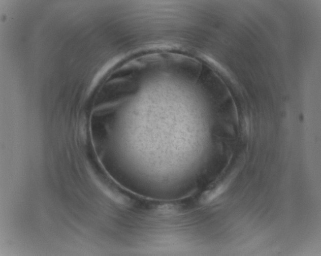 X0000076100064200610061717