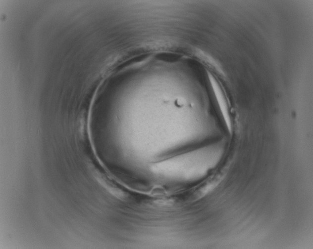 X0000076100065200610061717