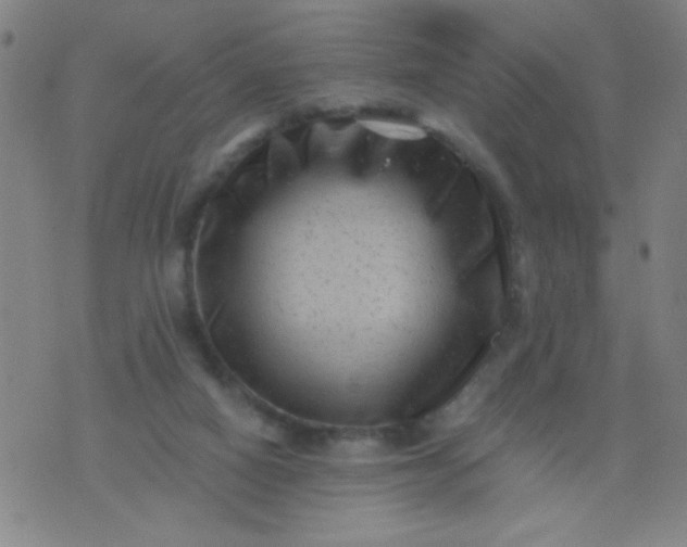 X0000076100066200610061717