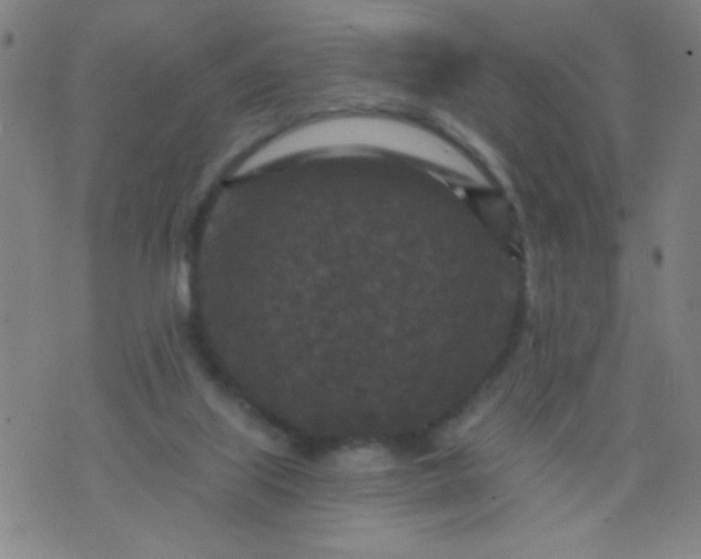 X0000076100067200610061717