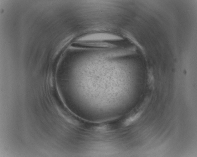 X0000076100068200610061717