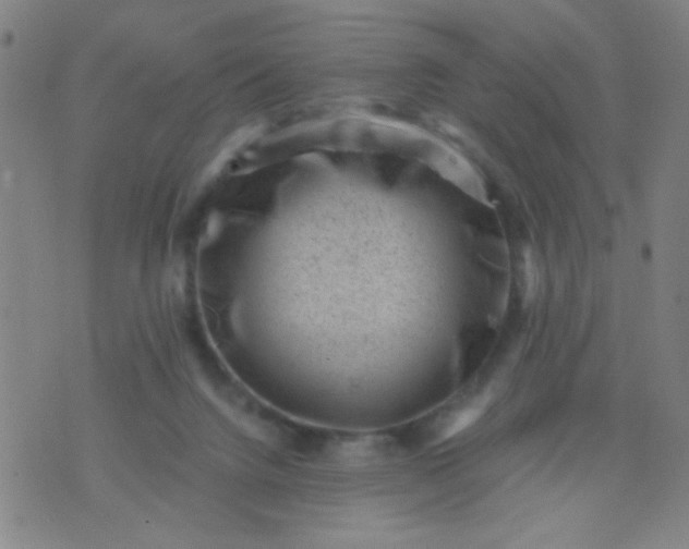 X0000076100072200610061717