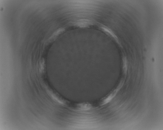 X0000076100073200610061717