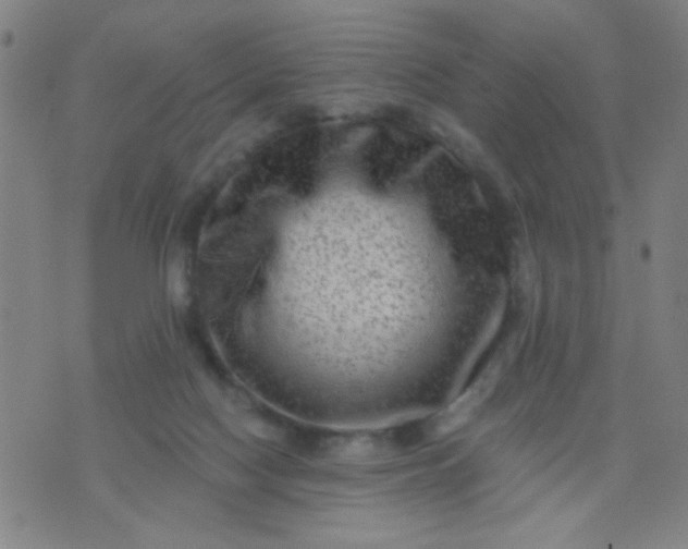 X0000076100074200610061717