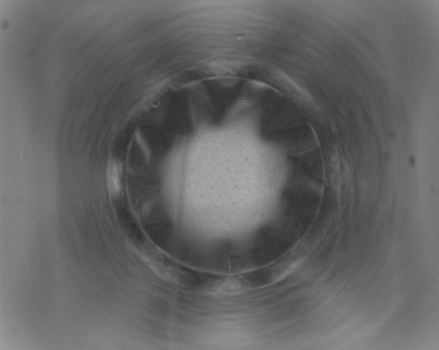 X0000076100075200610061717