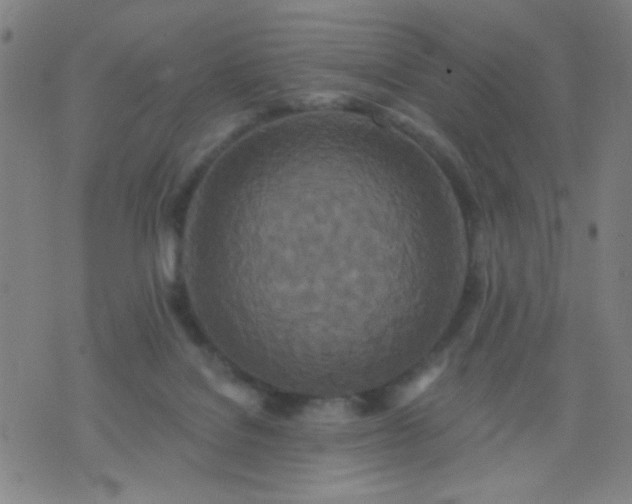 X0000076100076200610061717