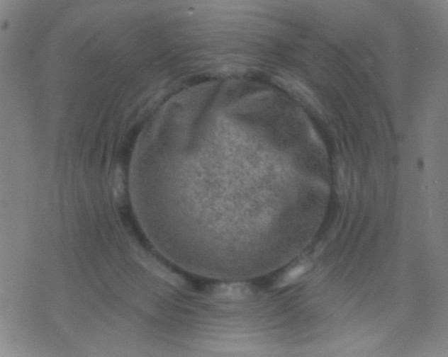 X0000076100077200610061717