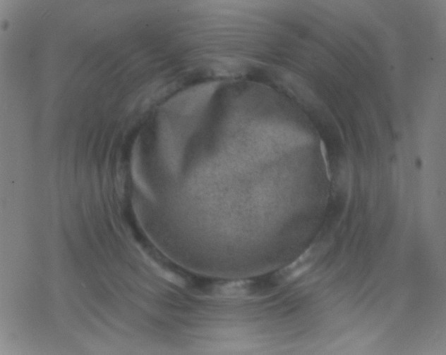 X0000076100078200610061717