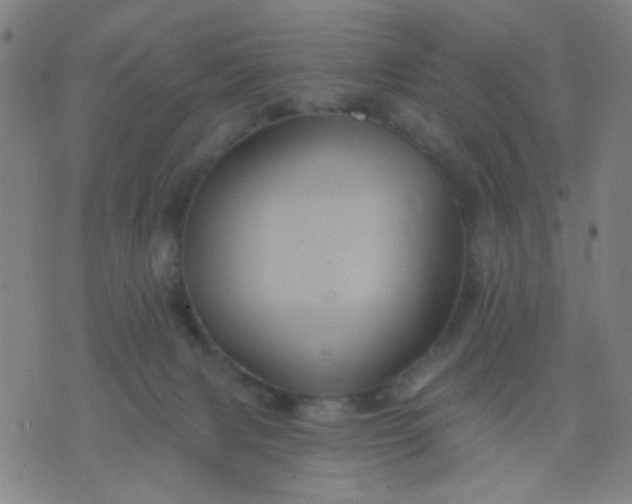 X0000076100079200610061717