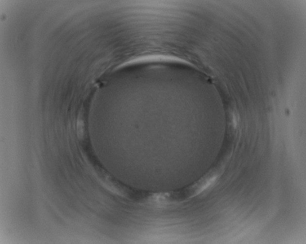 X0000076100080200610061717