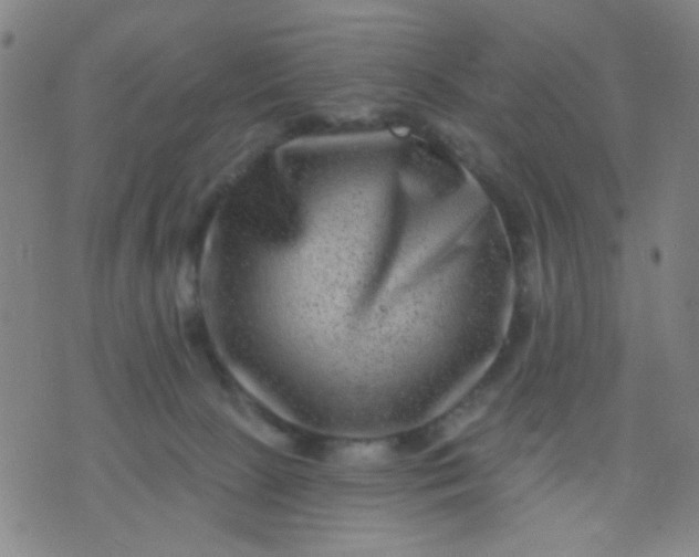 X0000076100081200610061717