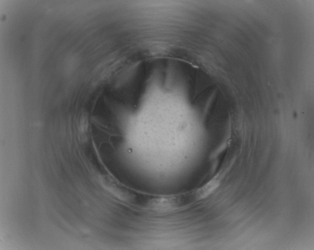 X0000076100082200610061717