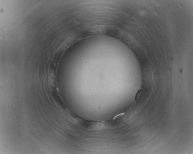 X0000076100083200610061717