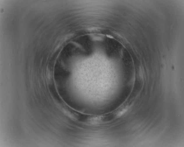 X0000076100084200610061717