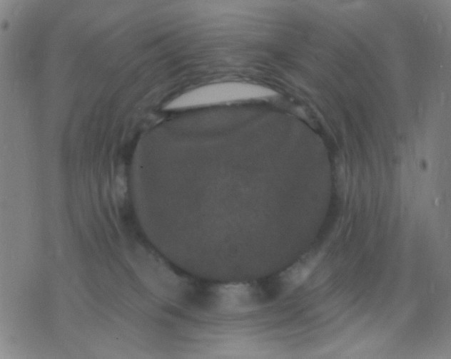 X0000076100085200610061717