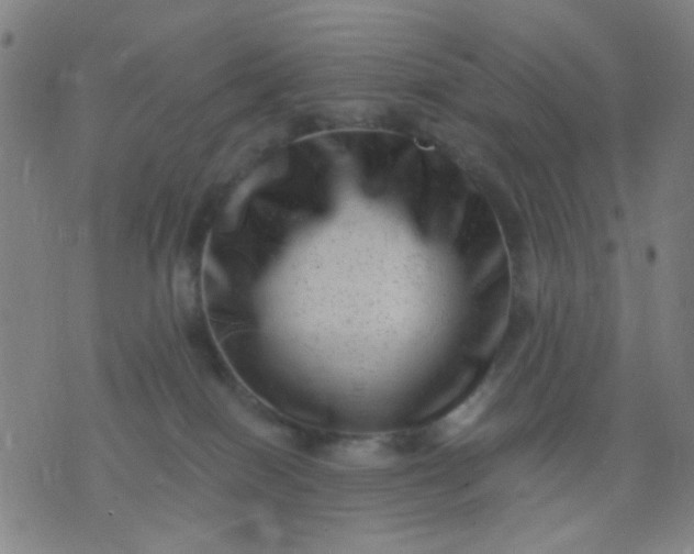 X0000076100086200610061717