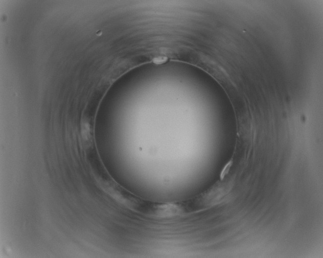 X0000076100087200610061717