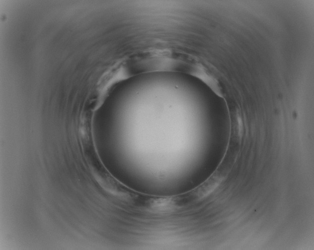 X0000076100088200610061717