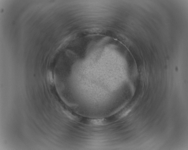 X0000076100089200610061717