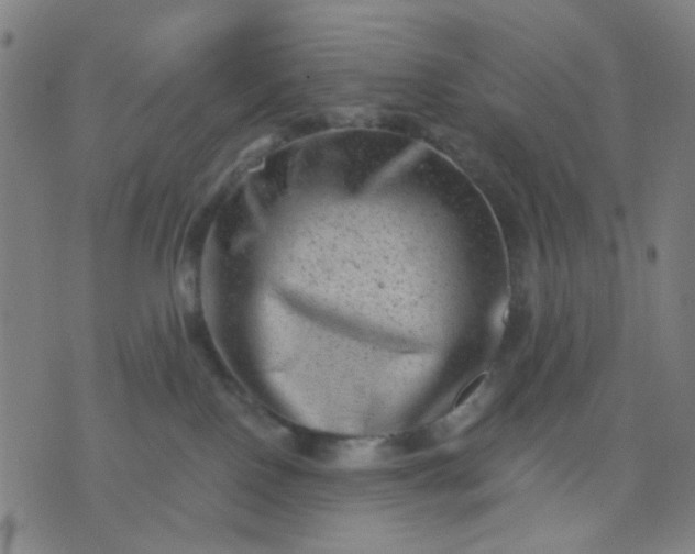 X0000076100090200610061717