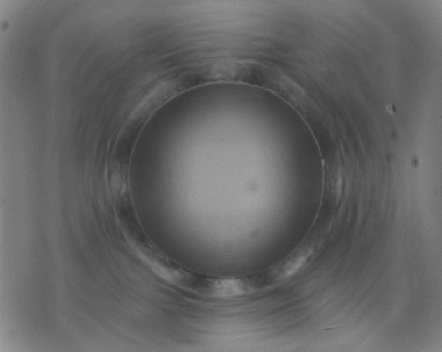 X0000076100091200610061717