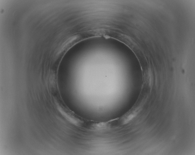 X0000076100092200610061717