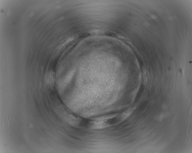 X0000076100093200610061717