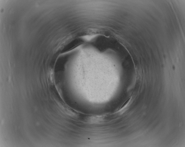 X0000076100094200610061717