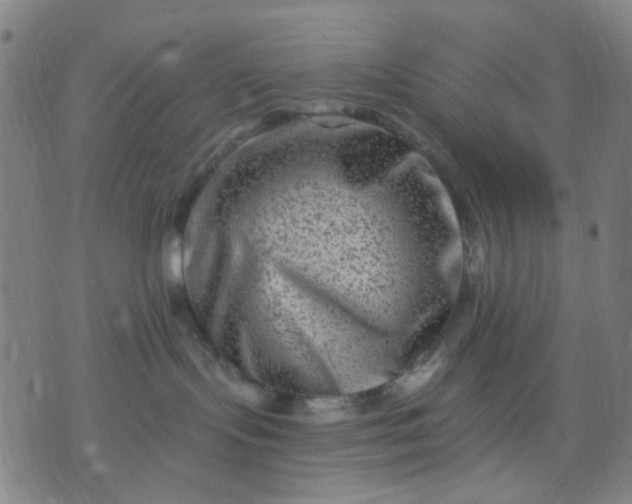 X0000076100095200610061717