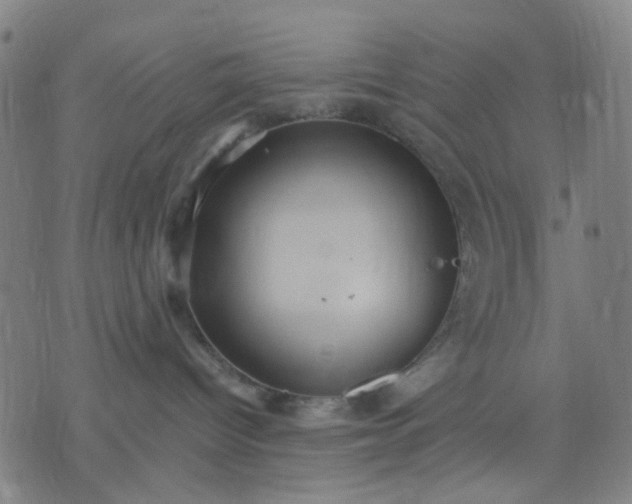 X0000076100096200610061717