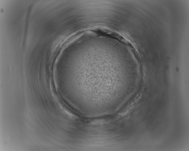 X0000076100097200610061717