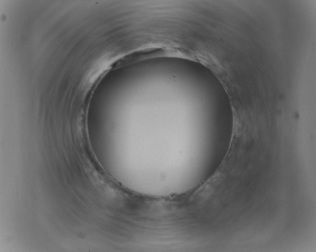 X0000076100098200610061717