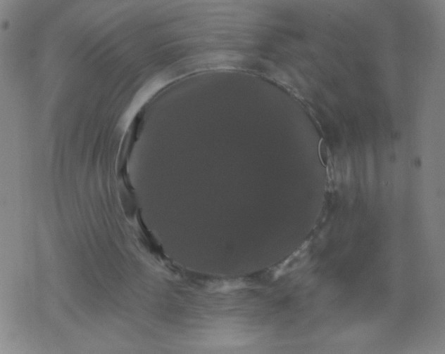 X0000076100099200610061717