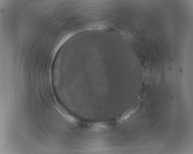 X0000076100100200610061717