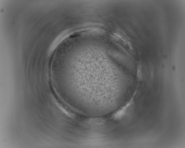 X0000076100101200610061717