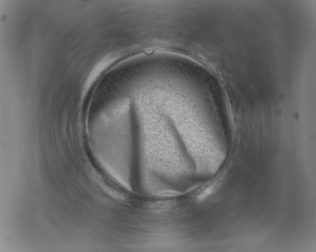 X0000076100102200610061717