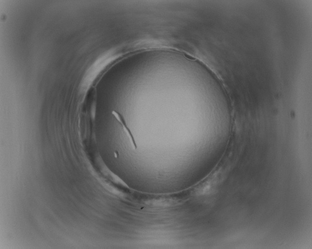 X0000076100103200610061716