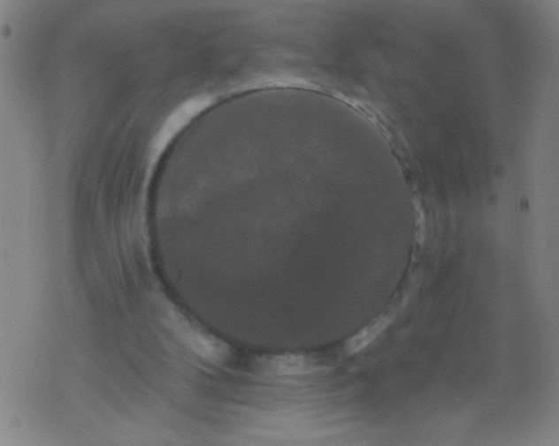 X0000076100104200610061716