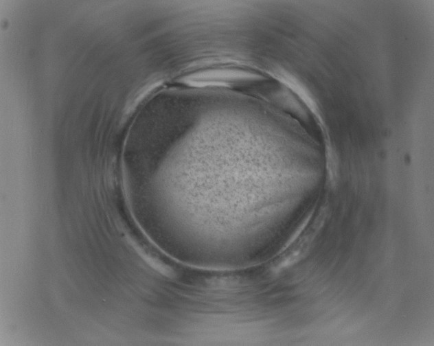 X0000076100105200610061716