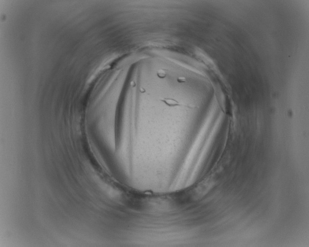 X0000076100106200610061716