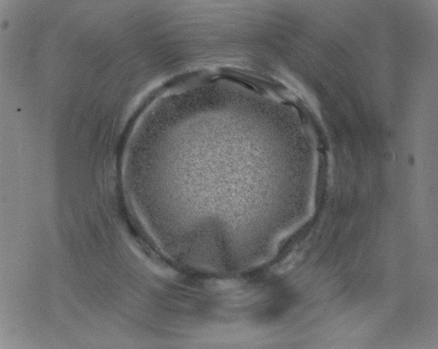 X0000076100107200610061716