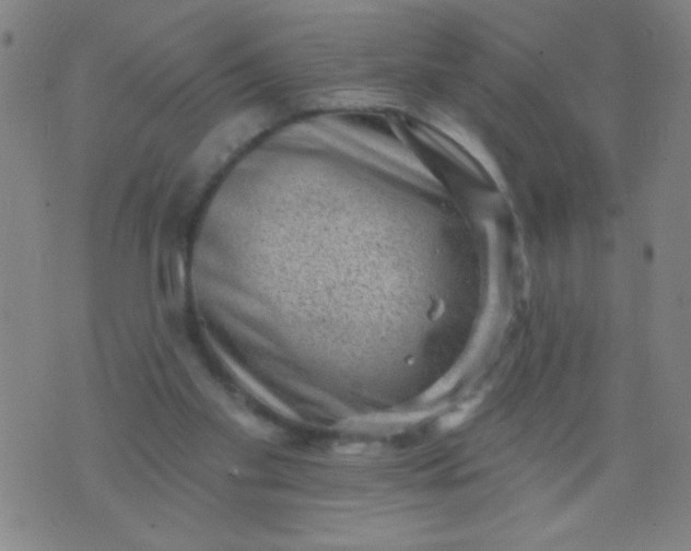 X0000076100109200610061716