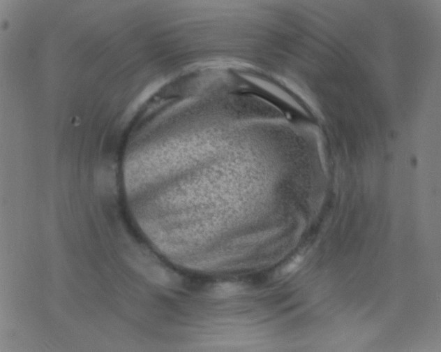 X0000076100111200610061716