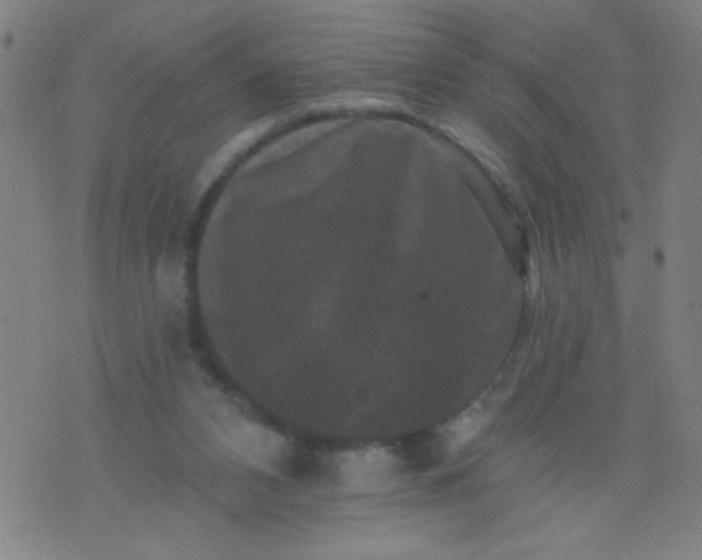 X0000076100112200610061716