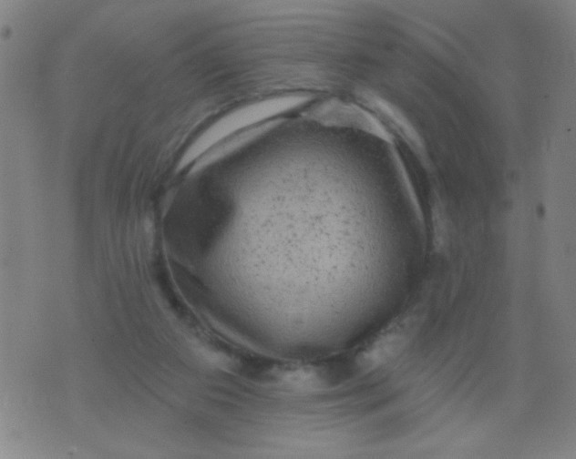 X0000076100113200610061716