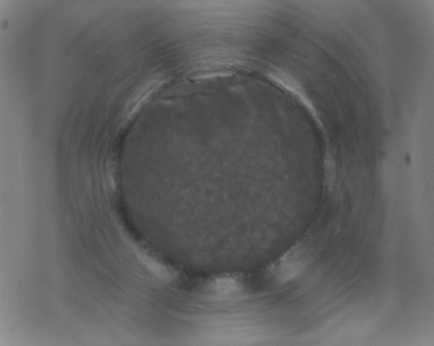 X0000076100114200610061716